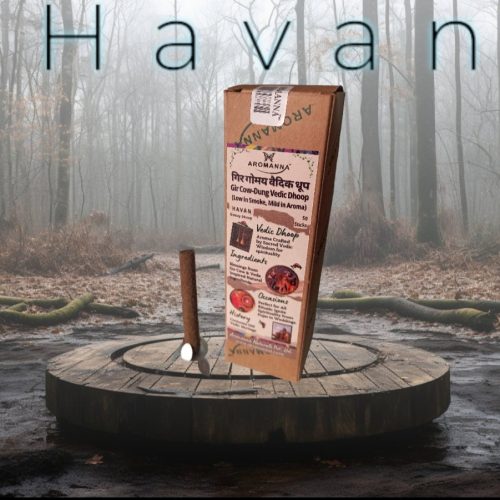 AROMANNA™ Gomay Dhoop (Havan) 40 Sticks